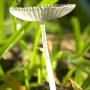 160x160